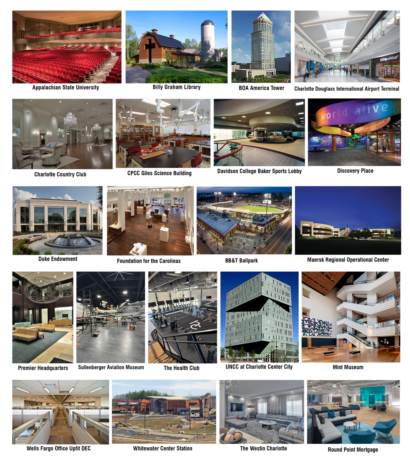 portfolio
